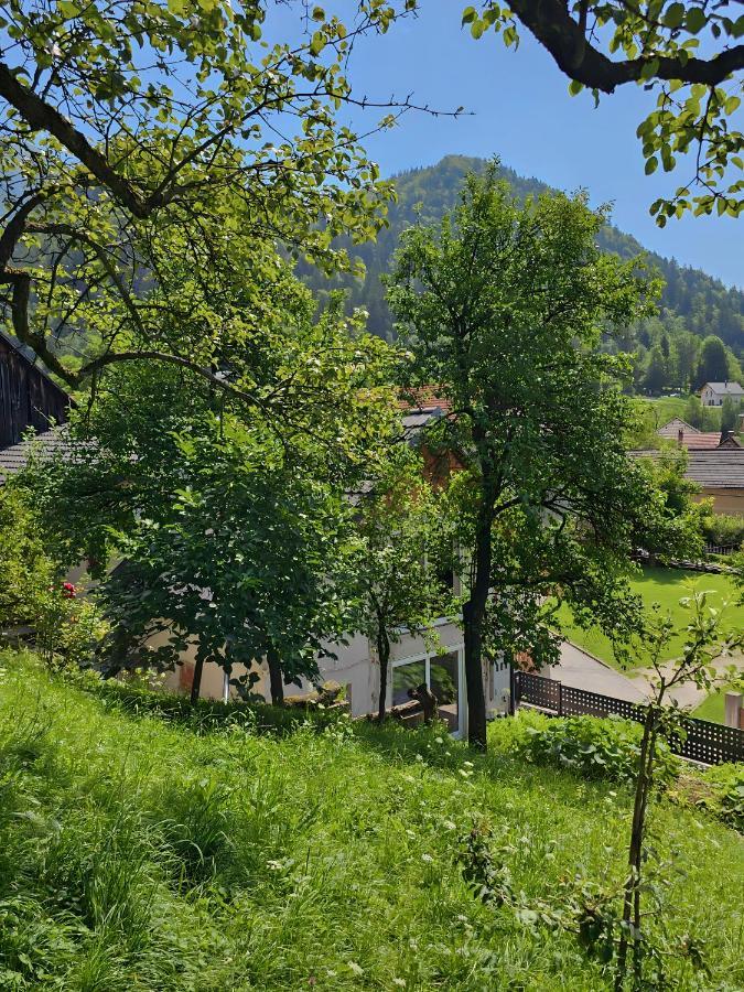 Charming Bella Hideout - Adults Only Leilighet Jesenice Eksteriør bilde